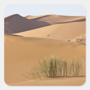 Sand dunes, Sahara desert, Morocco Square Sticker