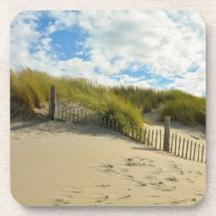 Sand dunes with wooden fence coaster