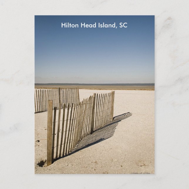 Sand Fence 2008, Hilton Head Island, SC Postcard (Front)