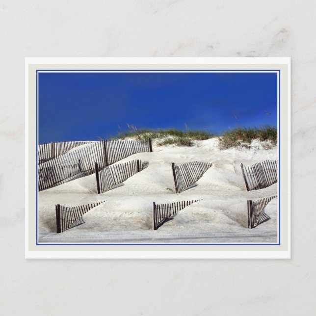 Sand Fences Postcard (Front)