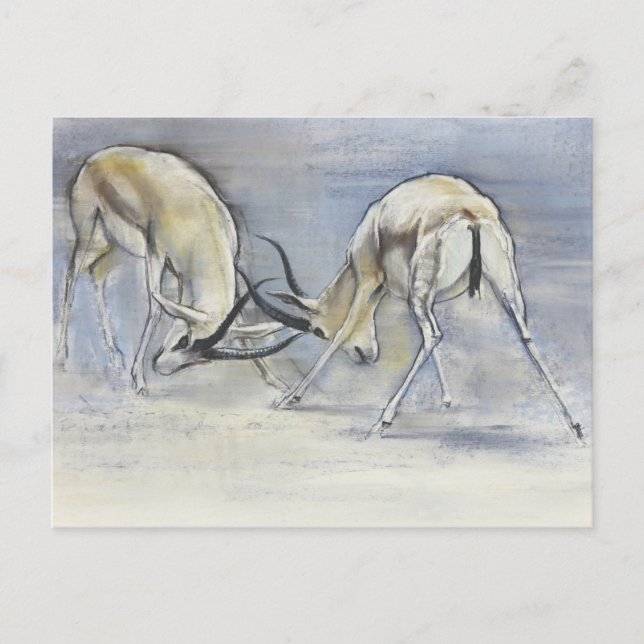 Sand Gazelles 2009  3 Postcard (Front)