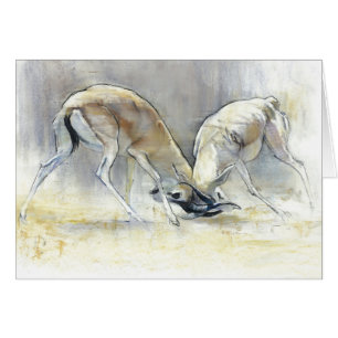 Sand Gazelles 2009  4