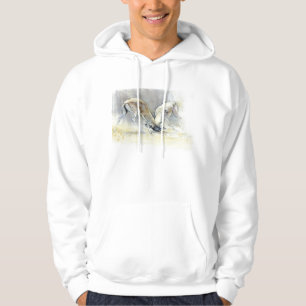 Sand Gazelles 2009 4 Hoodie