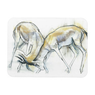 Sand Gazelles 2009 5 Magnet