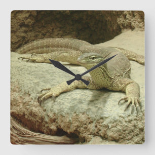 Sand goanna square wall clock