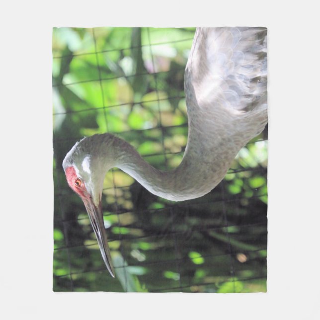 Sand hill crane fleece blanket (Front)