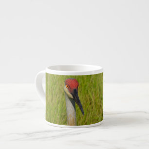 Sand Hill Crane Looking At Camera Espresso Cup