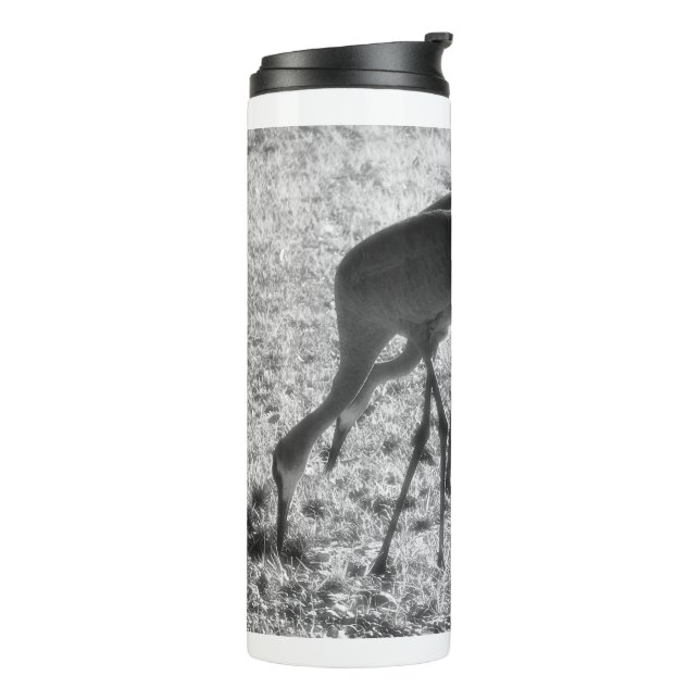 Sand Hill Cranes Thermal Tumbler (Rotated Left)