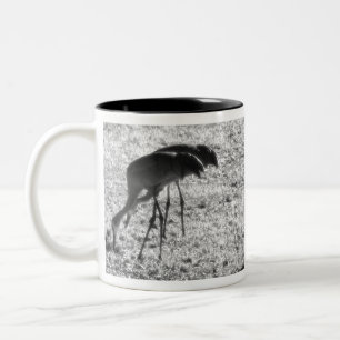 Sand Hill Cranes Two-Tone Coffee Mug