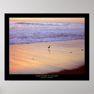 Sand Piper at Sunset : Ventura - California Poster