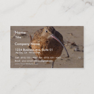 Sand Piper Bird On Beach Business Card