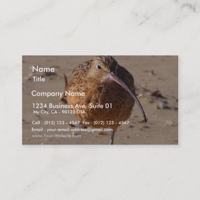 Sand Piper Bird On Beach Business Card (Front)