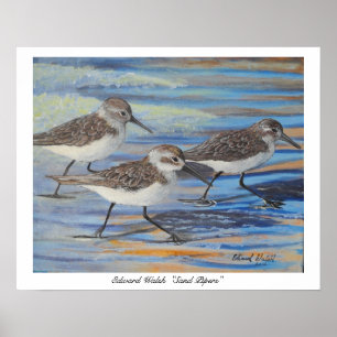 Sand Piper poster print