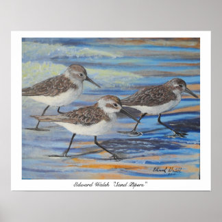 Sand Piper poster print