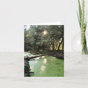 sand point trail holiday card