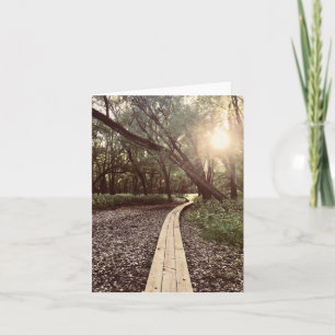 sand point trail minnesota holiday card
