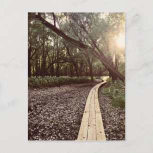 sand point trail minnesota postcard