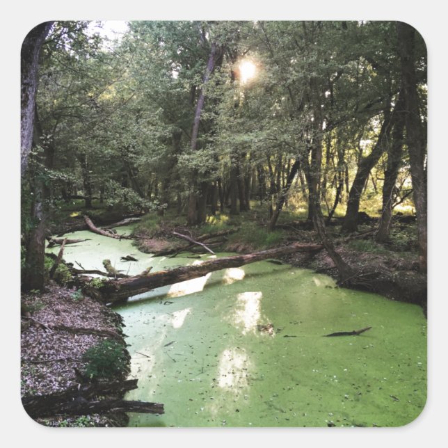 sand point trail square sticker (Front)