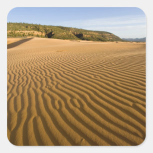 Sand ripples and dunes at Coral Pink Sand 2 Square Sticker