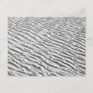 Sand Ripples Postcard