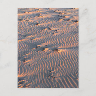 sand ripples postcard