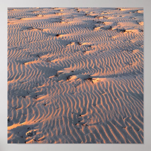 sand ripples poster (Front)