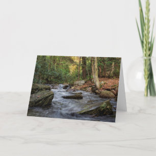 Sand Spring Run, Hickory Run State Park Card