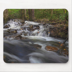 Sand Spring Run Mouse Pad