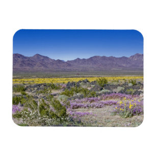 Sand Verbena & Desert Gold at Amboy Crater, CA, Magnet