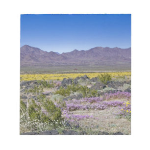 Sand Verbena & Desert Gold at Amboy Crater, CA, Notepad