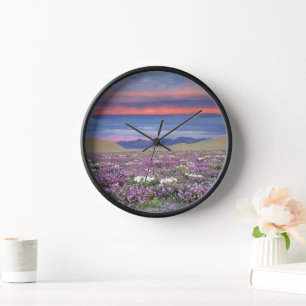 Sand Verbena & Dune Primrose Wildflowers at Sunset Clock