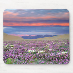 Sand Verbena & Dune Primrose Wildflowers at Sunset Mouse Pad