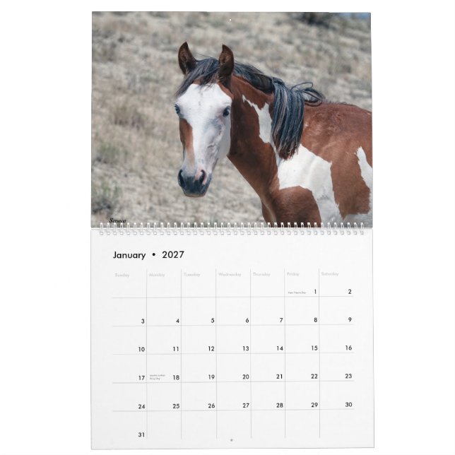 Sand Wash Basin 2021 Calendar (Jan 2027)