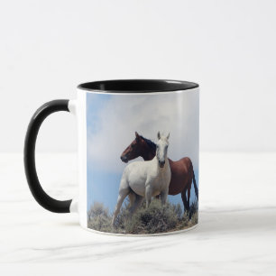 Sand Wash Basin Mug