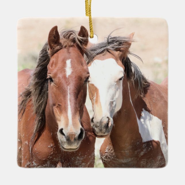 Sand Wash Basin Wild Horses Ceramic Ornament (Front)