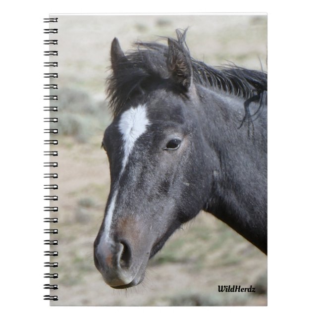 Sand Wash Basin's Poseidon Notebook (Front)