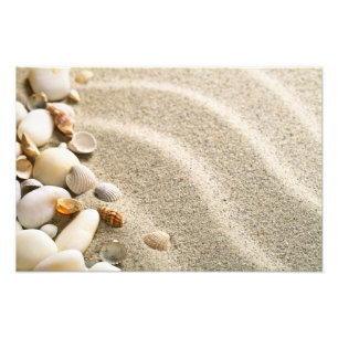 Sand With Shells And Stones. Beach Composition Photo Print