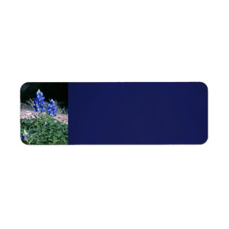 Sandbar Bluebonnets Return Address Label