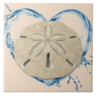 sanddollar ceramic tile