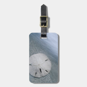 Sanddollar on Beach Sanibel Island, Florida Luggage Tag