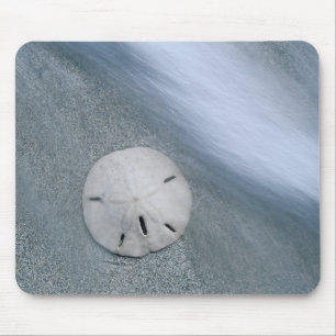 Sanddollar on Beach   Sanibel Island, Florida Mouse Pad