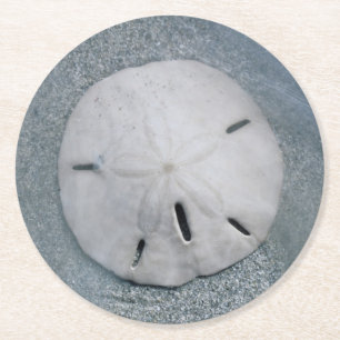 Sanddollar on Beach   Sanibel Island, Florida Round Paper Coaster