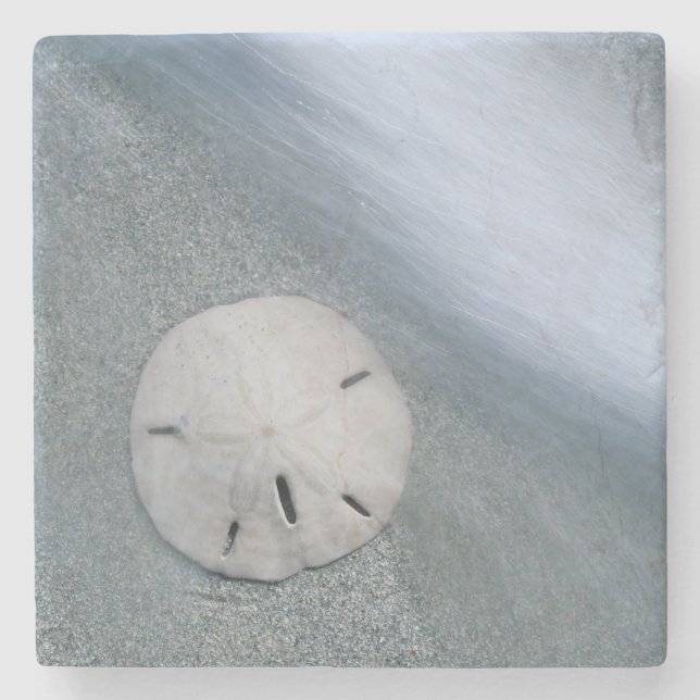 Sanddollar on Beach | Sanibel Island, Florida Stone Coaster (Front)