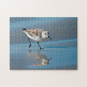 Sanderling (Calidris Albe) Feeding On Wet Beach Jigsaw Puzzle
