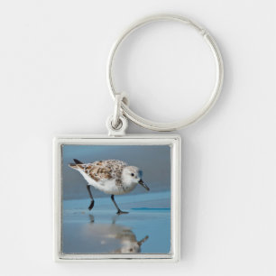 Sanderling (Calidris Albe) Feeding On Wet Beach Key Ring