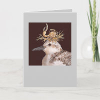 sanderling card, Gidget
