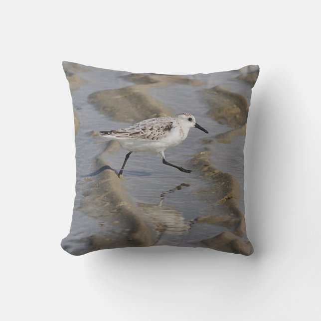 Sanderling Cushion (Front)