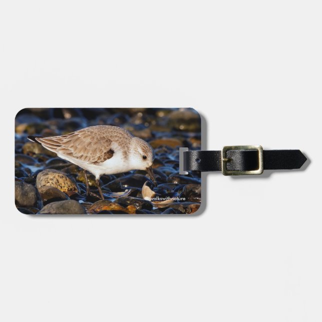 Sanderling Dining on Clam Luggage Tag (Front Horizontal)