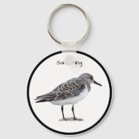 Sanderling