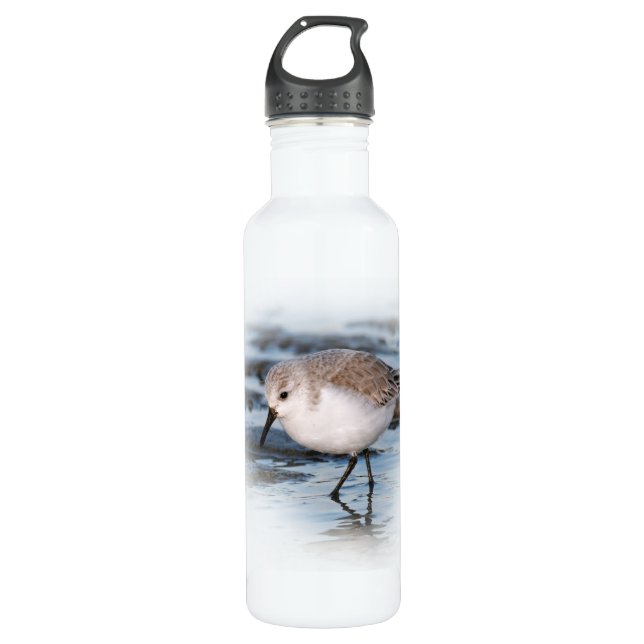 Sanderling Strolling on a Winter Beach 710 Ml Water Bottle (Front)